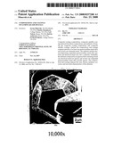 COMPOSITIONS AND COATINGS INCLUDING QUASICRYSTALS diagram and image