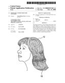 Removable and Resuable Hair Extension diagram and image