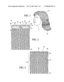 Removable and Resuable Hair Extension diagram and image