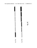 Method and Apparatus for Weaving Tape-Like Warp and Weft and Material Thereof diagram and image