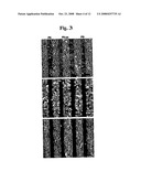 Microfluidic Device for Enabling the Controlled Growth of Cells and Methods Relating to Same diagram and image