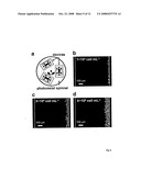 Microfluidic Device for Enabling the Controlled Growth of Cells and Methods Relating to Same diagram and image