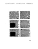 Microfluidic Device for Enabling the Controlled Growth of Cells and Methods Relating to Same diagram and image
