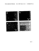 Microfluidic Device for Enabling the Controlled Growth of Cells and Methods Relating to Same diagram and image