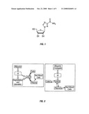 Prodrugs of Ribavirin with Improved Hepatic Delivery diagram and image