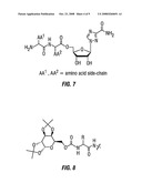 Prodrugs of Ribavirin with Improved Hepatic Delivery diagram and image