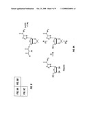 Prodrugs of Ribavirin with Improved Hepatic Delivery diagram and image