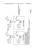 Prodrugs of Ribavirin with Improved Hepatic Delivery diagram and image