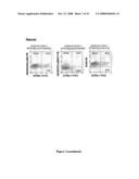 Multipotential Expanded Mesenchymal Precursor Cell Progeny (Memp) and Uses Thereof diagram and image