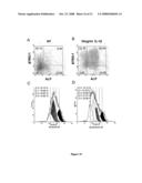 Multipotential Expanded Mesenchymal Precursor Cell Progeny (Memp) and Uses Thereof diagram and image