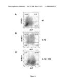 Multipotential Expanded Mesenchymal Precursor Cell Progeny (Memp) and Uses Thereof diagram and image