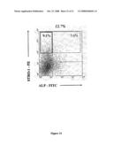 Multipotential Expanded Mesenchymal Precursor Cell Progeny (Memp) and Uses Thereof diagram and image