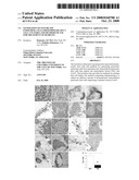 GENERATION OF PANCREATIC ENDOCRINE CELLS FROM PRIMARY DUCT CELL CULTURES AND METHODS OF USE FOR TREATMENT OF DIABETES diagram and image