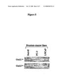 Systems and Methods for Inhibiting Metastasis diagram and image