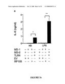 Methods and Compositions for the Modulation of Immune Responses and Autoimmune Diseases diagram and image