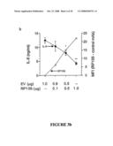 Methods and Compositions for the Modulation of Immune Responses and Autoimmune Diseases diagram and image