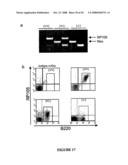 Methods and Compositions for the Modulation of Immune Responses and Autoimmune Diseases diagram and image