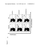 HPV DNA Vaccines and Methods of Use Thereof diagram and image