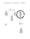 USE OF A PCV2 IMMUNOGENIC COMPOSITION FOR LESSENING CLINICAL SYMPTOMS IN PIGS diagram and image