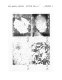 Pulmonary Formulation diagram and image