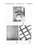 Pulmonary Formulation diagram and image