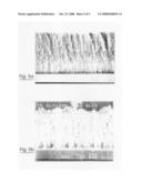 Pulmonary Formulation diagram and image