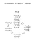 Detection of Nucleic Acid Mutations diagram and image