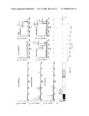 Methods and compounds to alter virus infection diagram and image