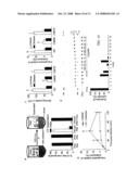 Methods and compounds to alter virus infection diagram and image