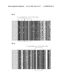 Oligonucleotide for Detection of a Microorganism, Diagnostic Kits and Methods for Detection of Microorganisms Using the Oligonucleotide diagram and image