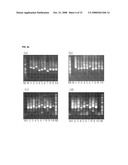 Oligonucleotide for Detection of a Microorganism, Diagnostic Kits and Methods for Detection of Microorganisms Using the Oligonucleotide diagram and image