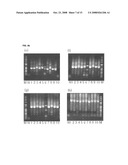 Oligonucleotide for Detection of a Microorganism, Diagnostic Kits and Methods for Detection of Microorganisms Using the Oligonucleotide diagram and image