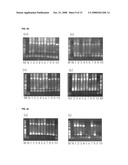 Oligonucleotide for Detection of a Microorganism, Diagnostic Kits and Methods for Detection of Microorganisms Using the Oligonucleotide diagram and image