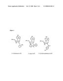 2 -Nitrobenzyl-Modified Ribonucleotides diagram and image