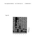 2 -Nitrobenzyl-Modified Ribonucleotides diagram and image