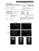 ARL-1 Specific Antibodies diagram and image