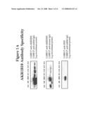 ARL-1 Specific Antibodies diagram and image
