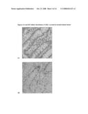 ARL-1 Specific Antibodies diagram and image