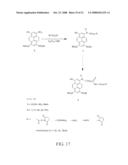 Novel Green and Orange Fluorescent Labels and Their Uses diagram and image