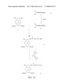 Novel Green and Orange Fluorescent Labels and Their Uses diagram and image