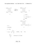 Novel Green and Orange Fluorescent Labels and Their Uses diagram and image