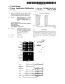 Targeted ubiquitination of proteins and screening methods using a new class of ubiquitin ligase proteins diagram and image