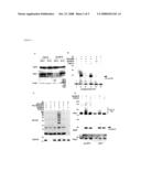 Targeted ubiquitination of proteins and screening methods using a new class of ubiquitin ligase proteins diagram and image