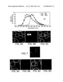 Fluorescent Proteins and Related Methods and Compounds diagram and image