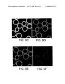 Fluorescent Proteins and Related Methods and Compounds diagram and image