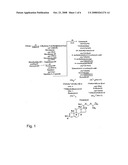 Restoration of Cholesterol Independence and Its Use as a Selectable Marker in Ns0 Cell Culture diagram and image