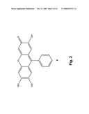 Colorimetric and Fluorometric Determination of Homocysteine and Cysteine diagram and image