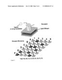 Cell Free Assay for Determining a Substance of Interest and Molecular Complexes Used Therefore diagram and image