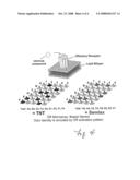 Cell Free Assay for Determining a Substance of Interest and Molecular Complexes Used Therefore diagram and image