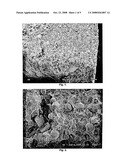 Polysaccharide-Inorganic Composite Particles as Performance Additives for Superabsorbent Polymers diagram and image